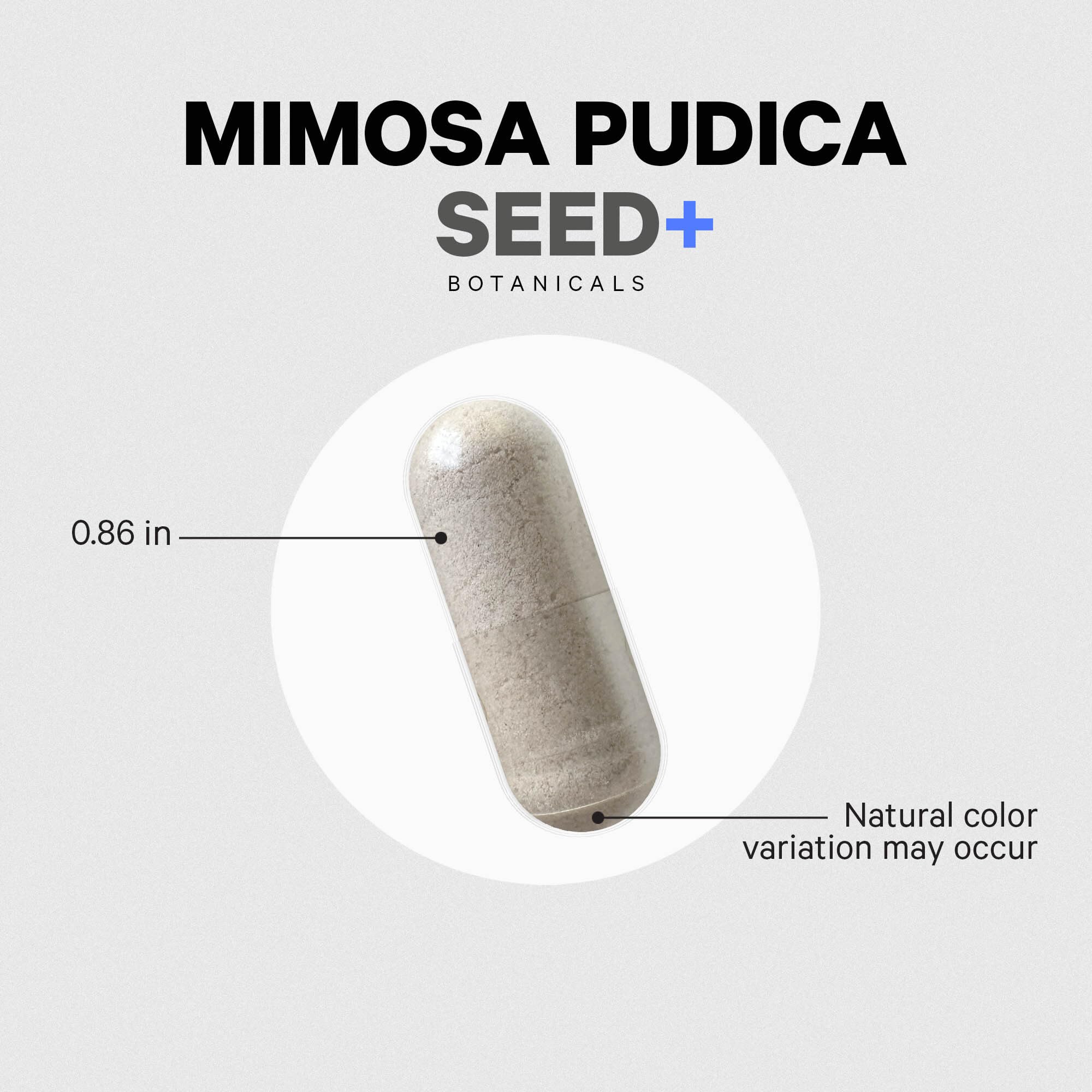 Codeage Mimosa Pudica Seed Capsules packaging designed for travel and on the go.