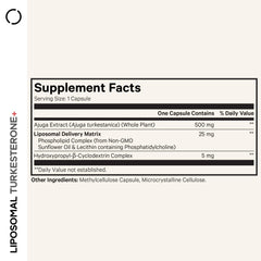 Codeage Turkesterone capsules close-up show high-potency extract for daily use