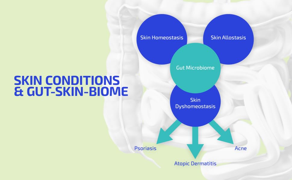 Codex Beauty BIA GutBuilder label featuring dietary fibers and antioxidants