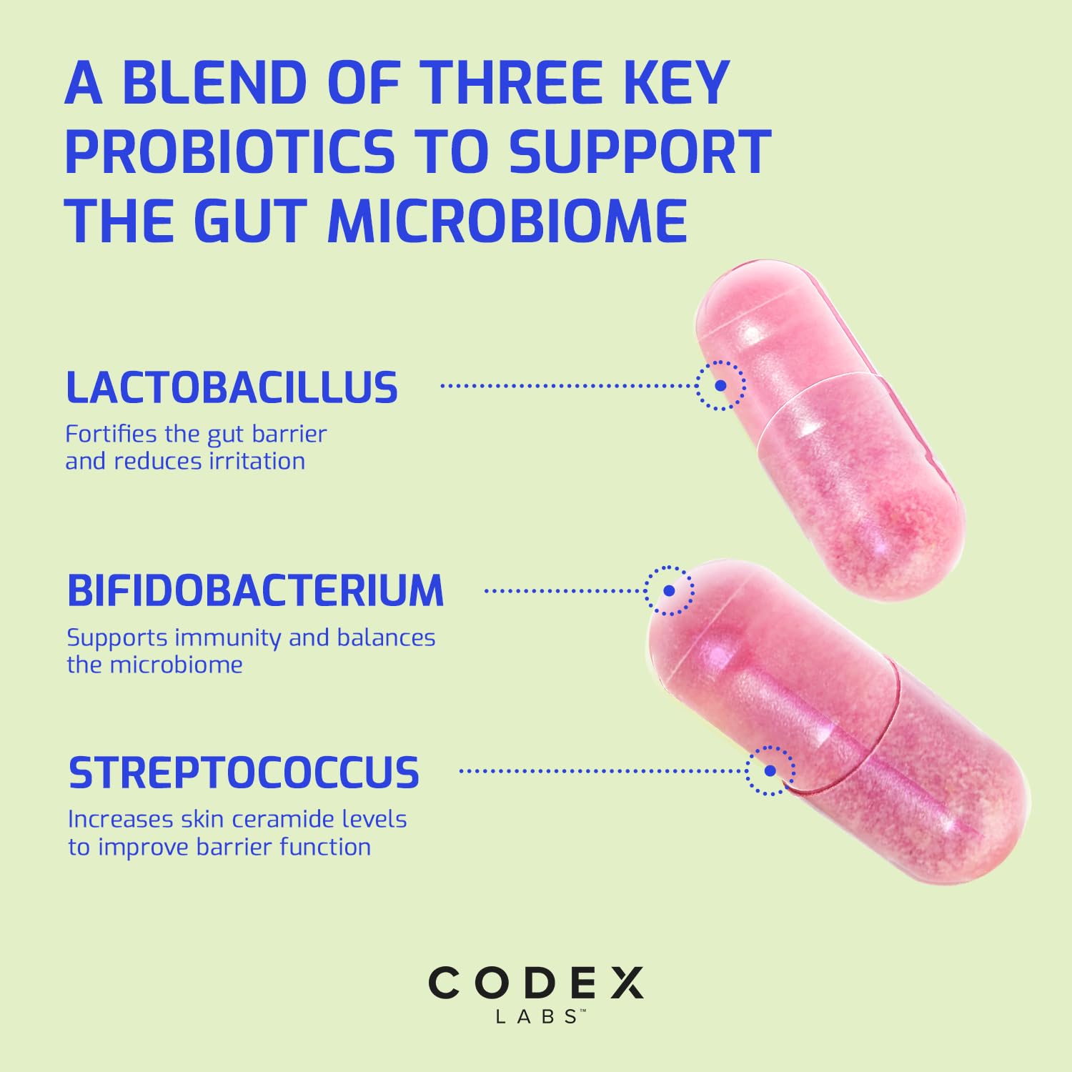 Codex Labs BIA Probiotic bottle and capsules for consistent use