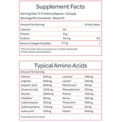 Collagen For Her measuring scoop ready for precise servings.