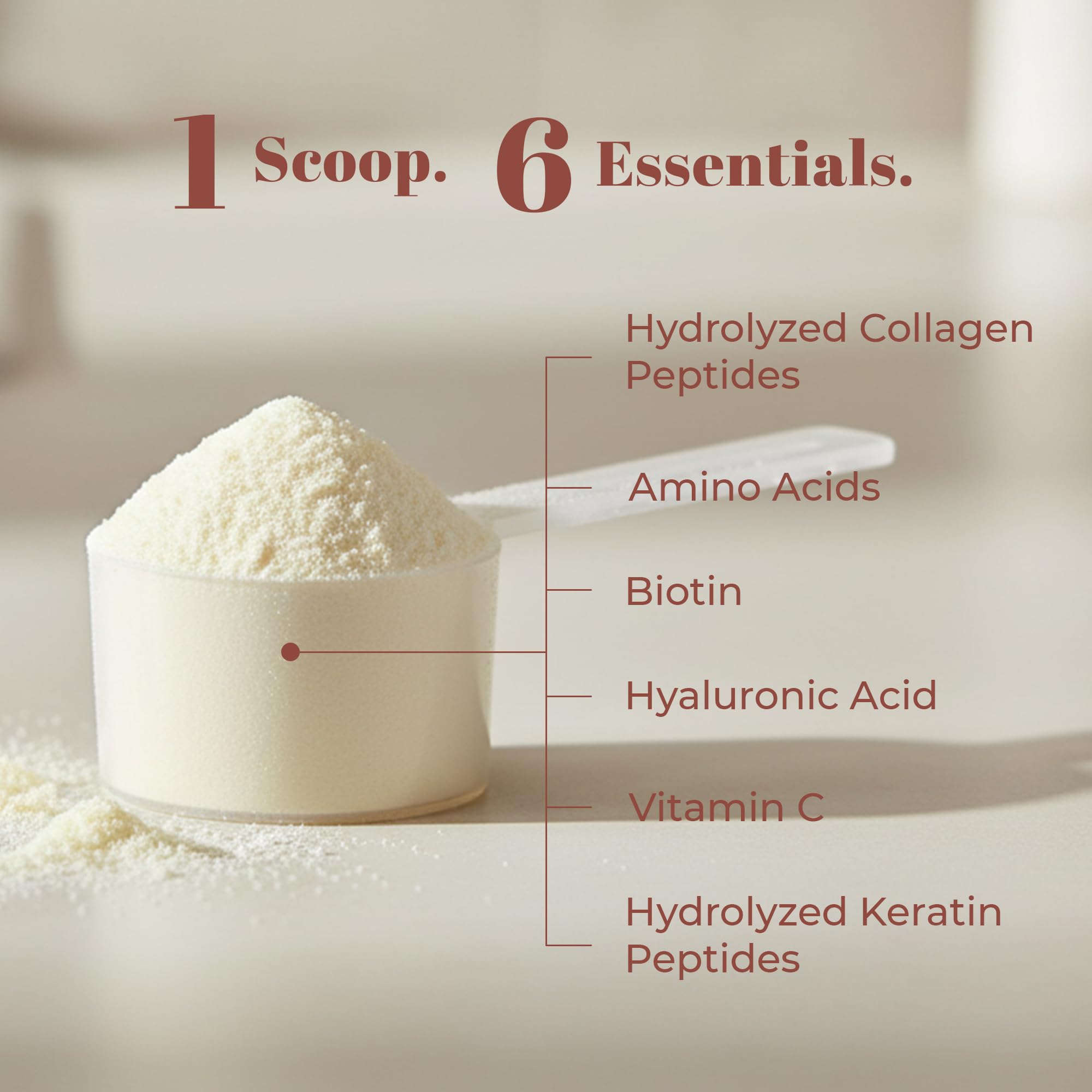 Collagen Project scoop beside powder hints premium collagen texture.