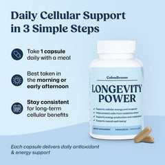 ColonBroom CoQ10 wellness routine setup for longevity-focused lifestyle.