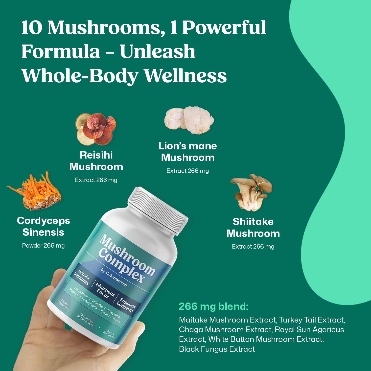 ColonBroom ingredients montage showing cordyceps, reishi, shiitake, and lion's mane for holistic wellness
