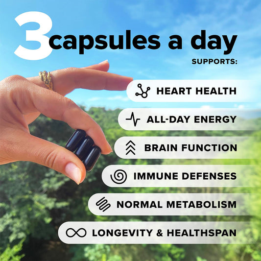 Complement vegan capsules close-up highlighting easy-to-swallow format