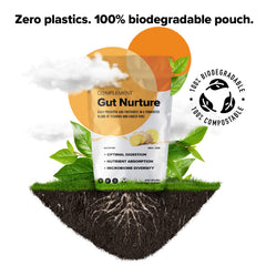 Complement Gut Nurture healthy-meal icon suggesting nourishing support