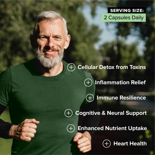 Complement Sulfora capsules in hand illustrating easy daily supplementation.