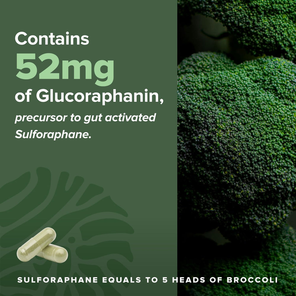Complement Sulfora sustainable compostable pouch emphasizes eco-friendly packaging.