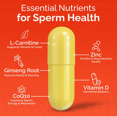 Brand Conceive Plus Motility Support icons for vitamins and antioxidants