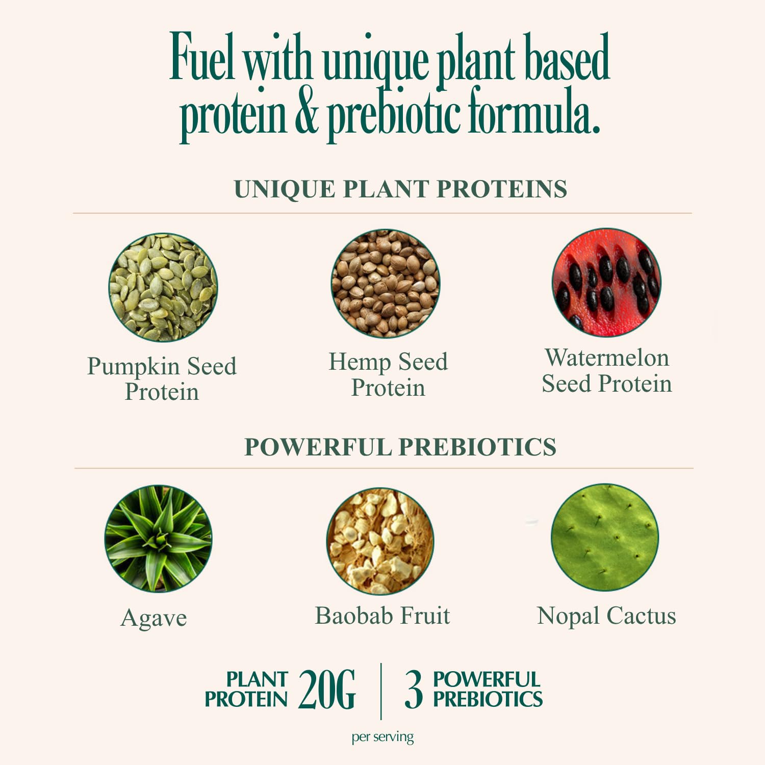 Coolside protein ingredients-seeds emphasize hemp, watermelon, and pumpkin seeds for balanced nutrition.