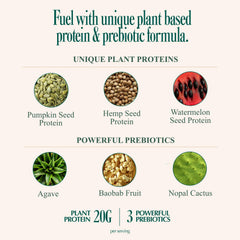 Coolside protein ingredients-seeds emphasize hemp, watermelon, and pumpkin seeds for balanced nutrition.