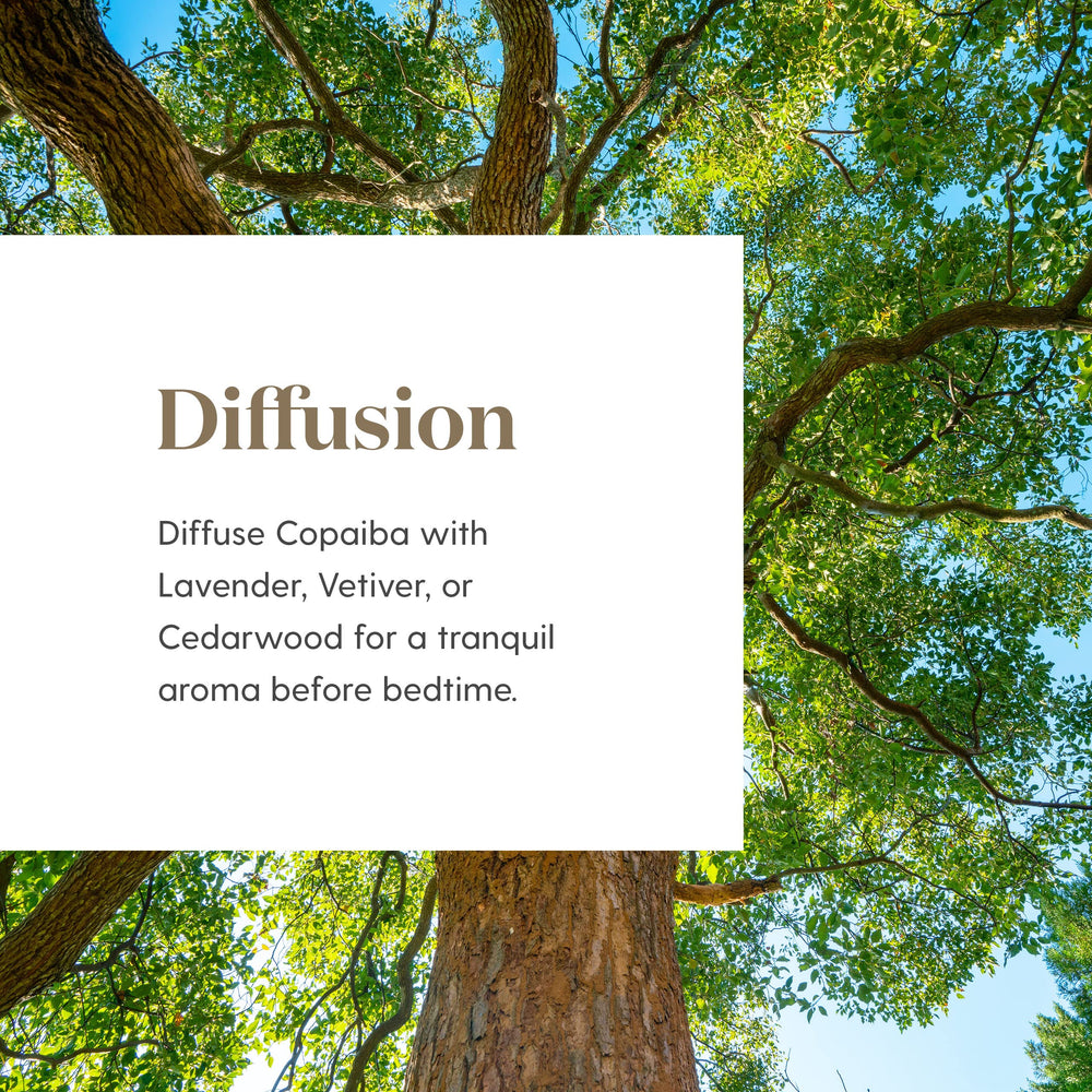 Copaiba oil relaxing aroma fills living space