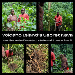 Coral Sea Kava Kelai cup of prepared tea for relaxation