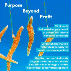 Coral Sea Kava Silese Malekula Island farm image showcasing ethical sourcing.