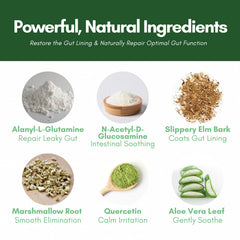 Core Origins glass filled with mixed Core Correct powder showing quick dissolving use.