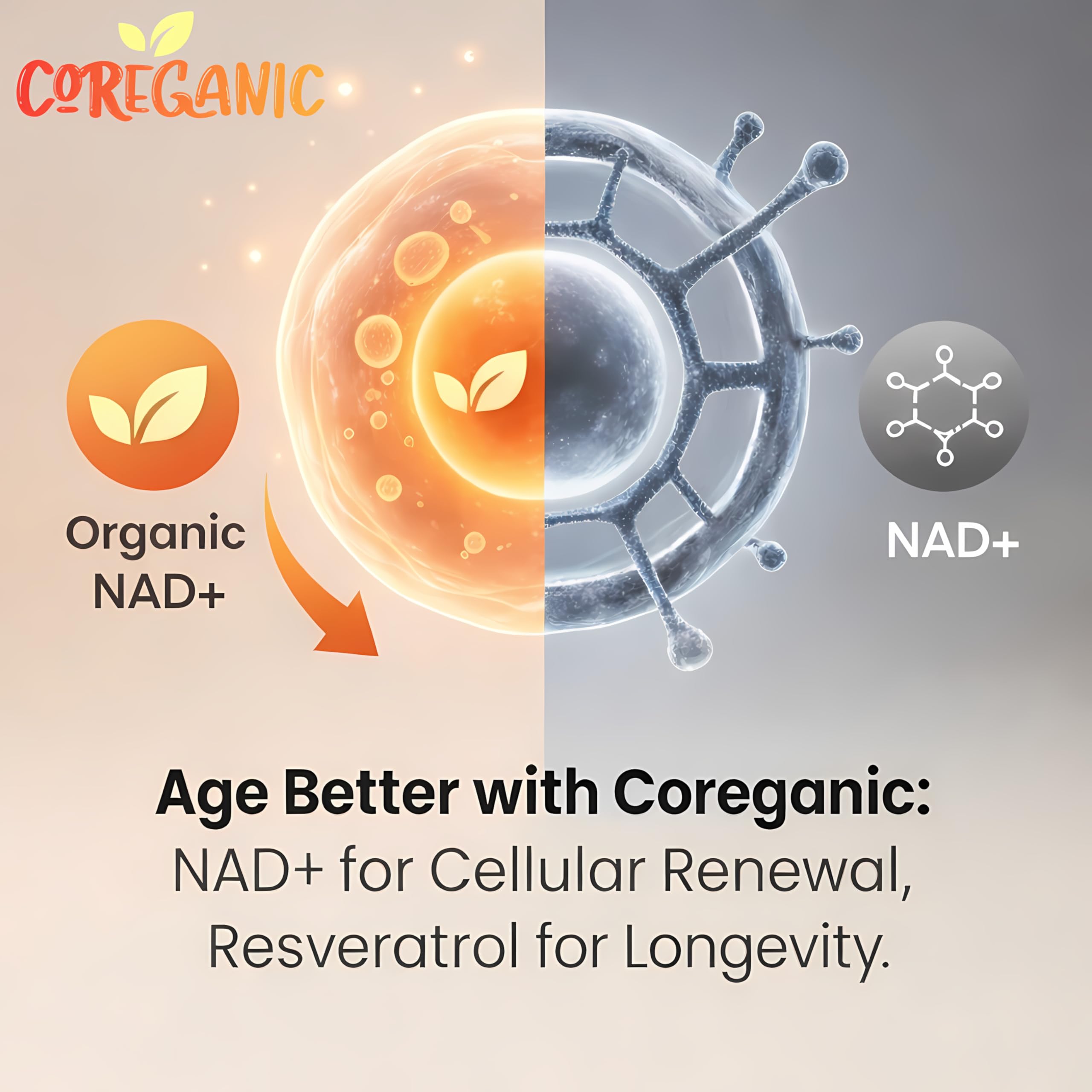 Coreganic Clean NAD+ made-in-USA seal on packaging