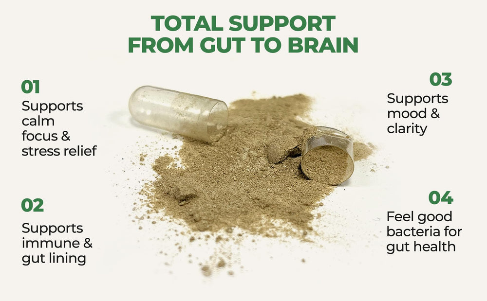 COREHEALTH Ashwagandha L-Theanine nootropics visual emphasizing stress relief and mental clarity.