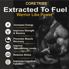 Coretribe Royal Shilajit Resin closeup shows dark glossy texture for vitality.