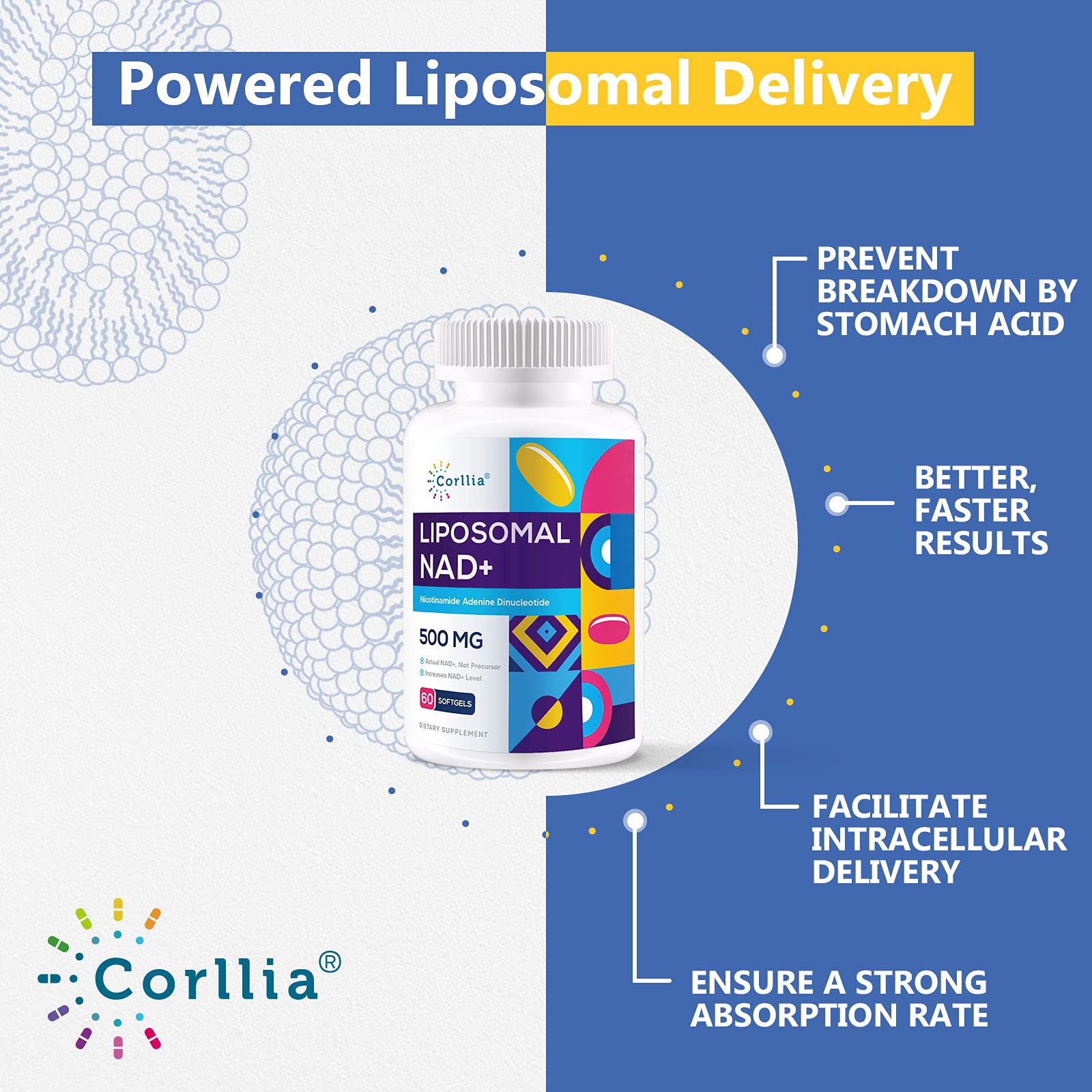 Pour shot of Corllia Liposomal NAD+ 500mg softgels for easy daily intake.