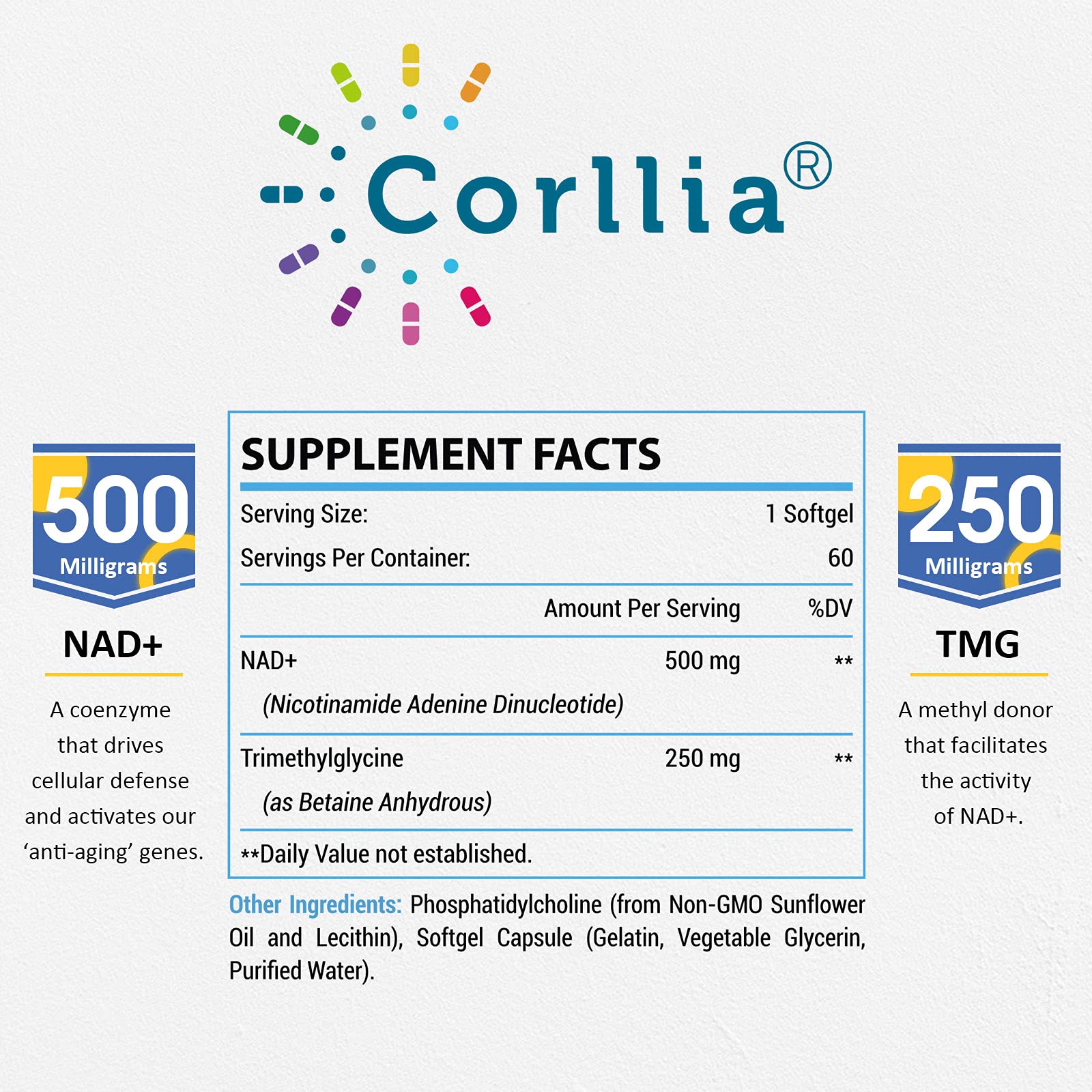 Corllia liposomal NAD+ delivery closeup showing protective vesicles for absorption