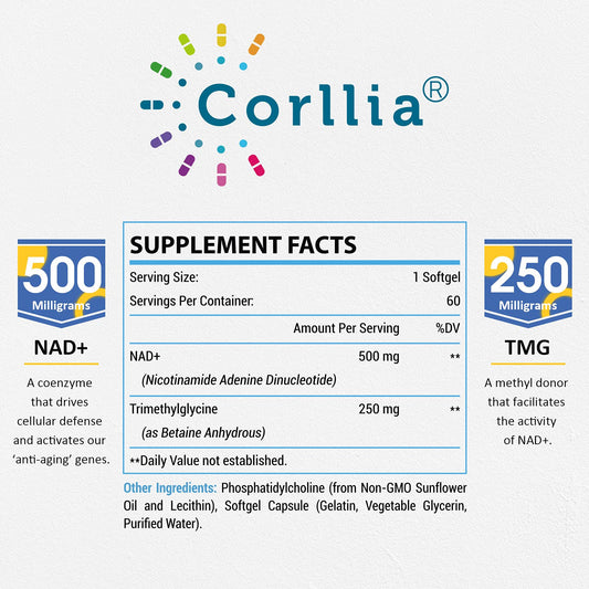 Corllia liposomal NAD+ delivery closeup showing protective vesicles for absorption