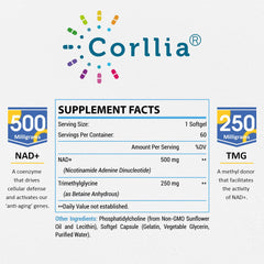 Corllia liposomal NAD+ delivery closeup showing protective vesicles for absorption