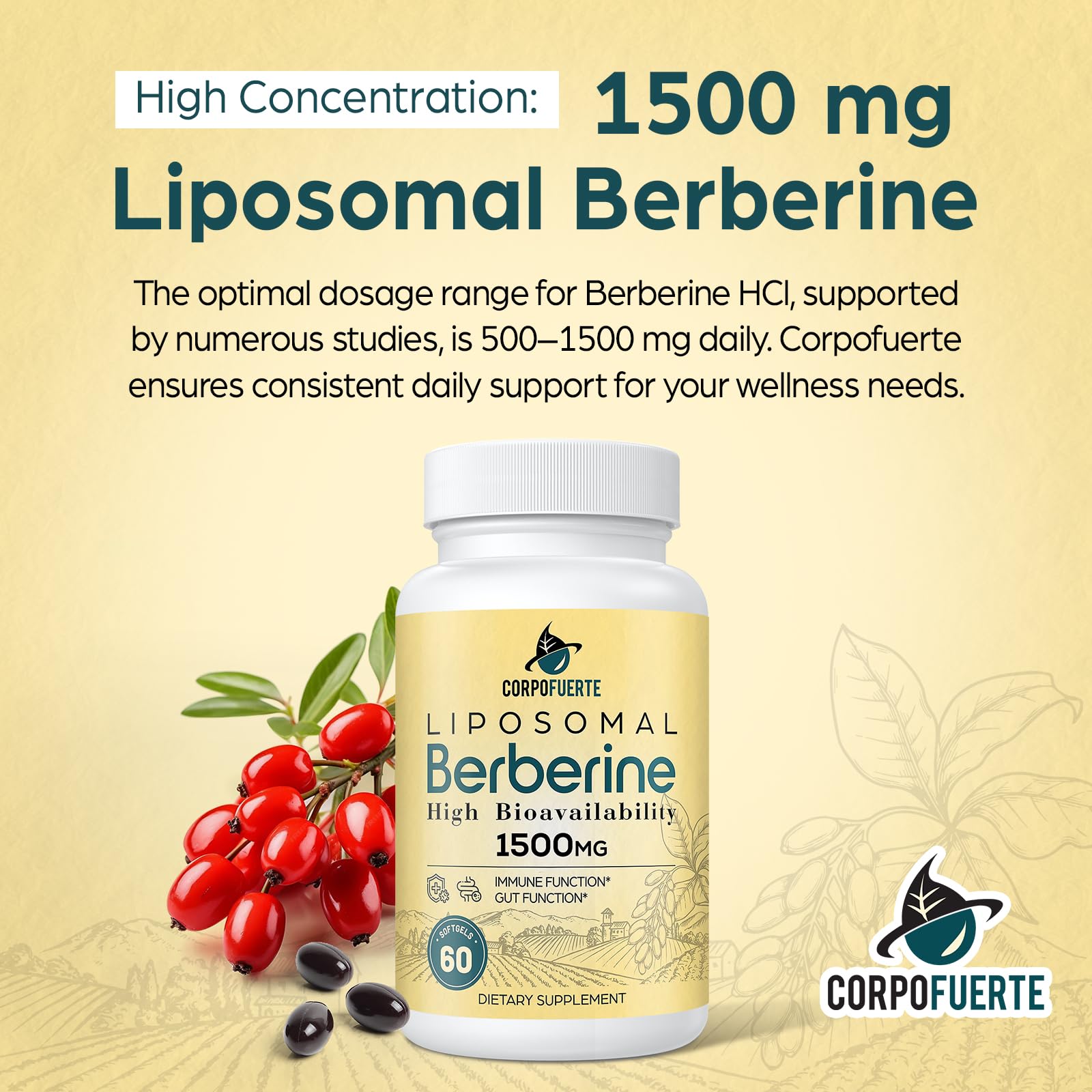 Corpofuerte berberine HCl label with third-party testing seal.
