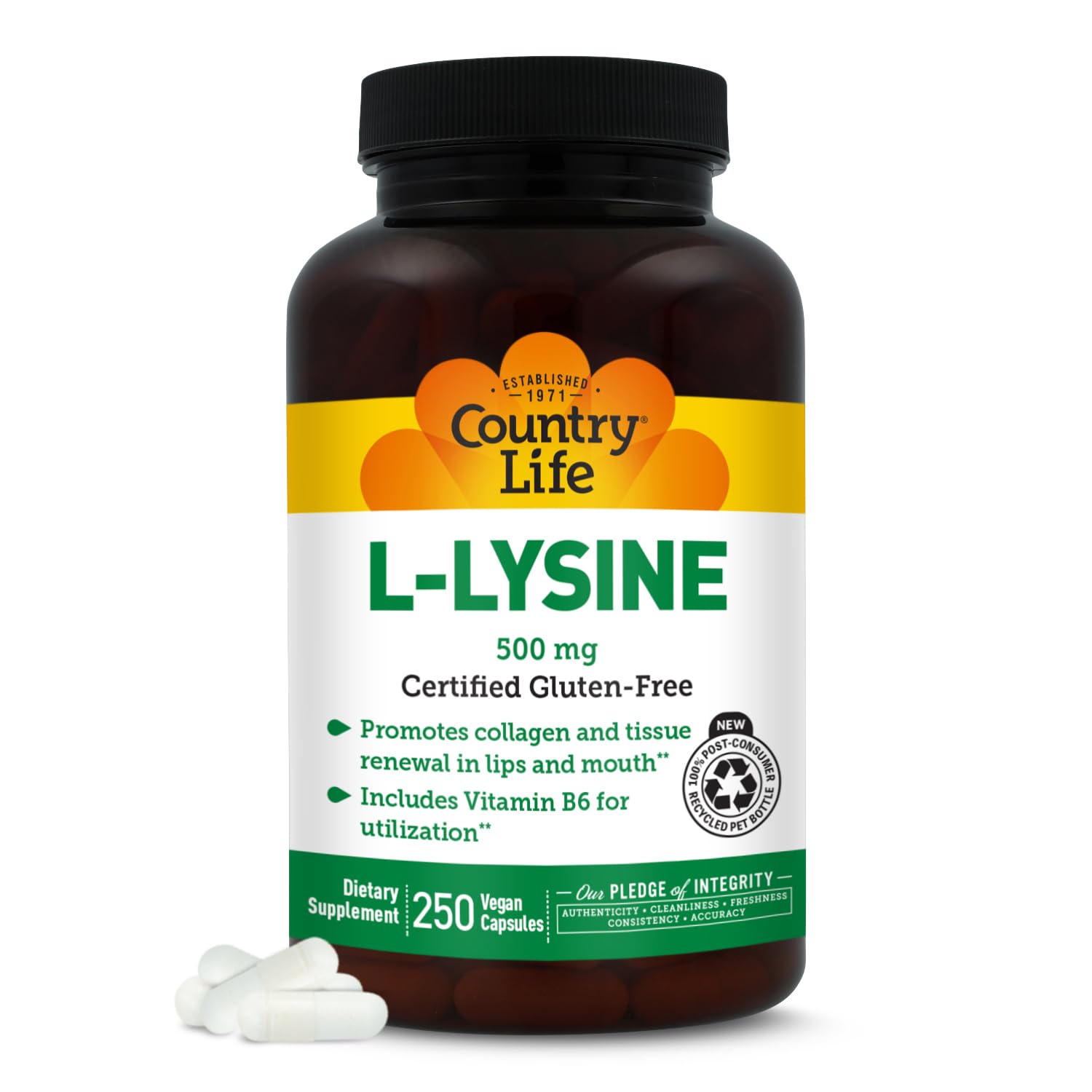 Country Life L-Lysine 500 mg with B-6 bottle front view highlighting immune support.