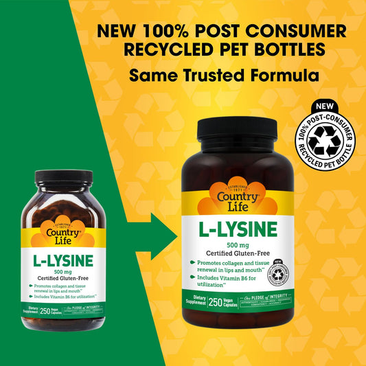 Country Life L-Lysine 500 mg with B-6 label close-up shows vegan and gluten-free labels.