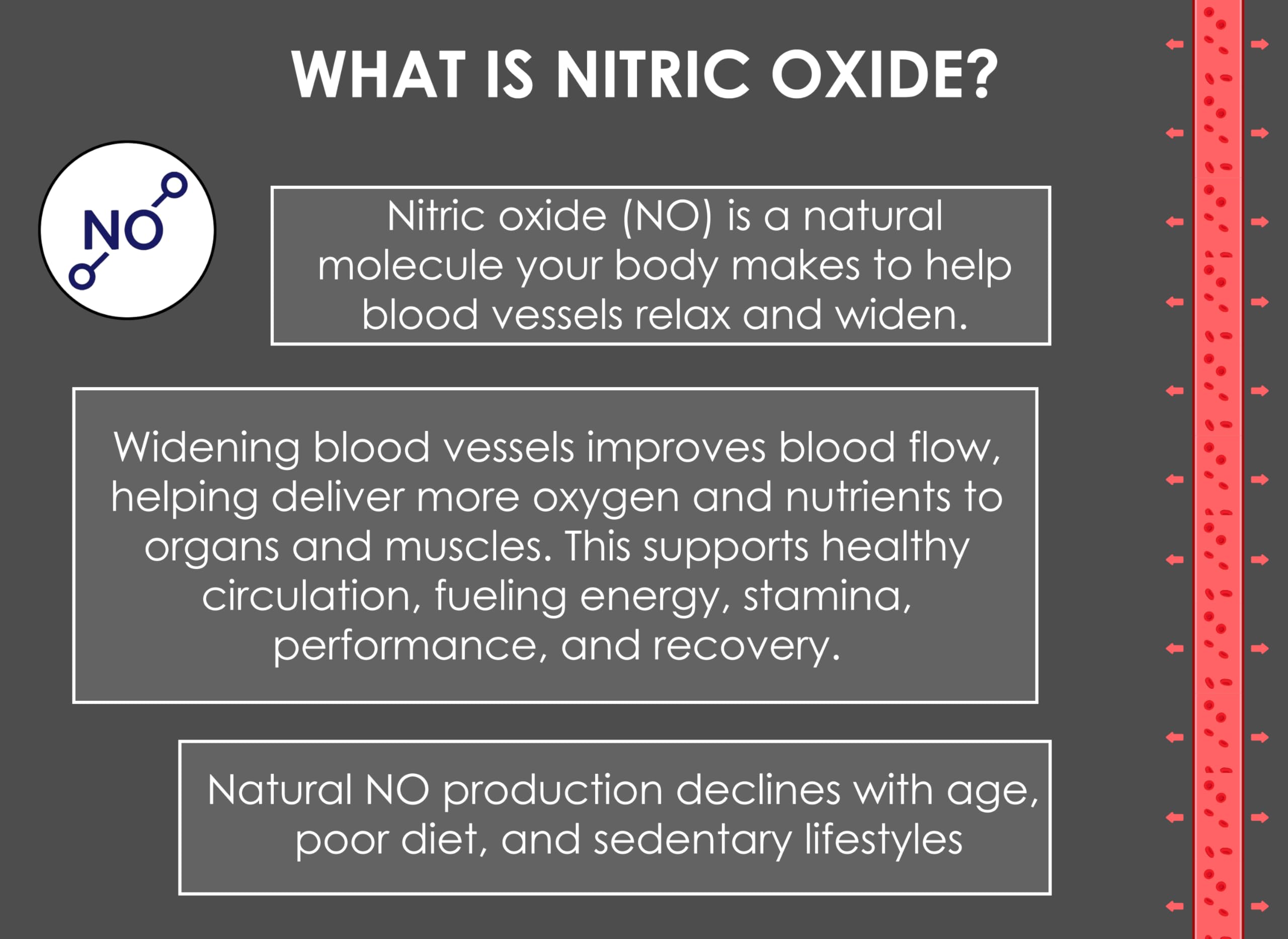 Crait Nitric Oxide Lozenges on shelf suggests everyday cardiovascular support options.