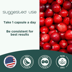 CranCap daily-dose concept image shows one capsule per day routine.