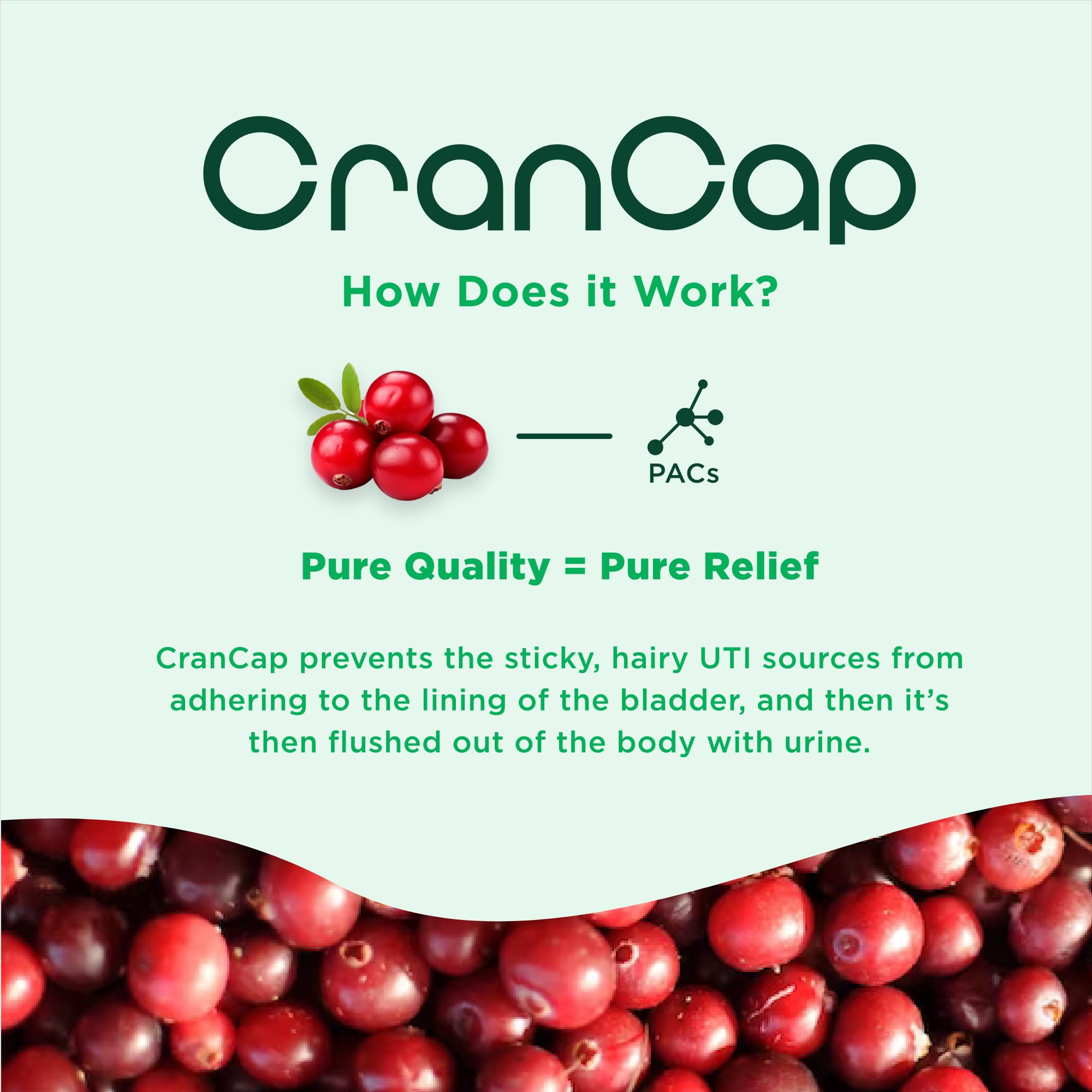 CranCap ingredients image focuses on cranberries and PACs for antiadhesion benefits