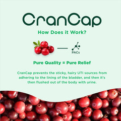 CranCap ingredients image focuses on cranberries and PACs for antiadhesion benefits