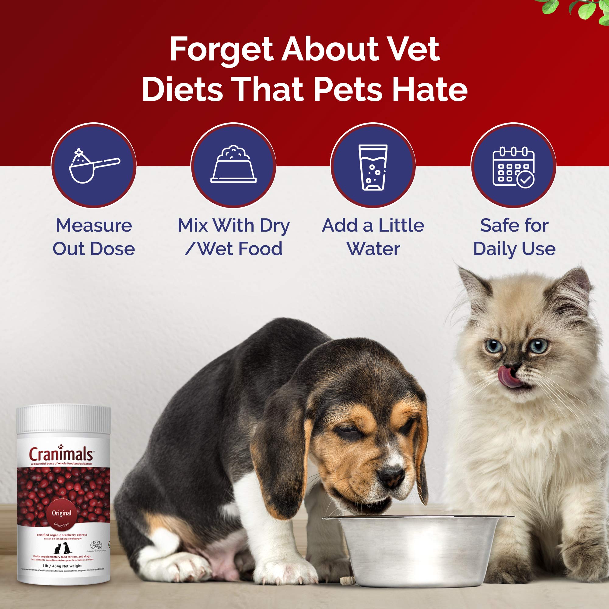 Cranimals Cranberry Powder cat-use scene suggests safe, long-term bladder support.