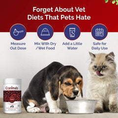 Cranimals Cranberry Powder cat-use scene suggests safe, long-term bladder support.