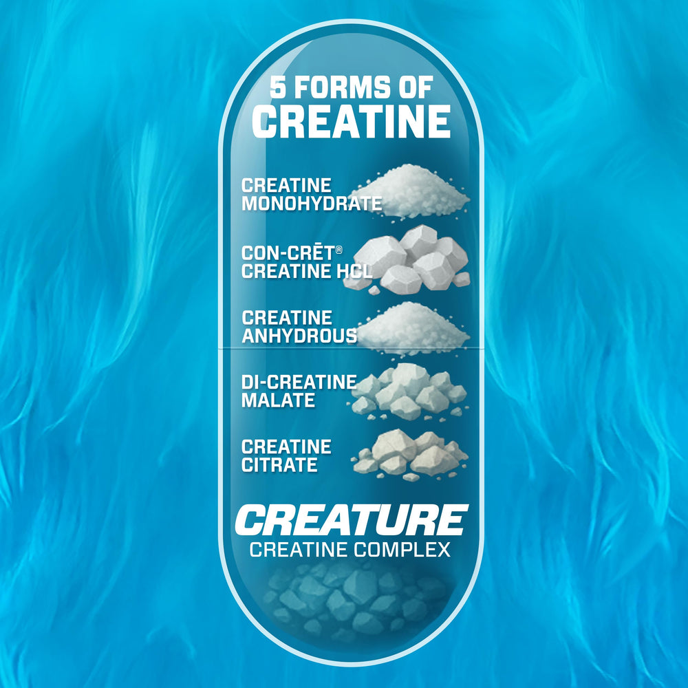Close-up of CREATURE Creatine Complex capsules—compact pills for convenient daily use