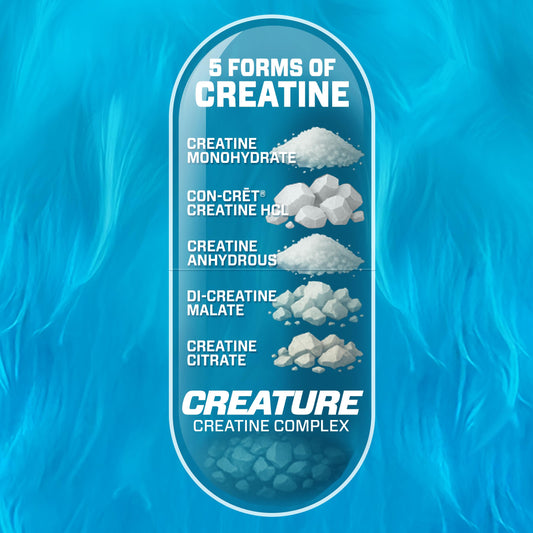 Close-up of CREATURE Creatine Complex capsules—compact pills for convenient daily use