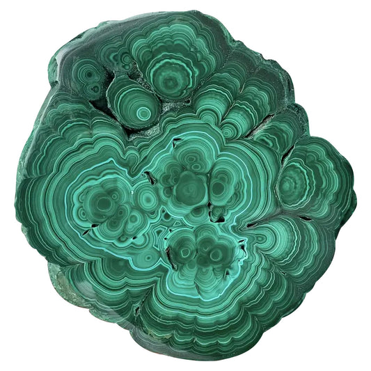 CrystalHola Malachite slice polished finish highlights concentric patterns for display.