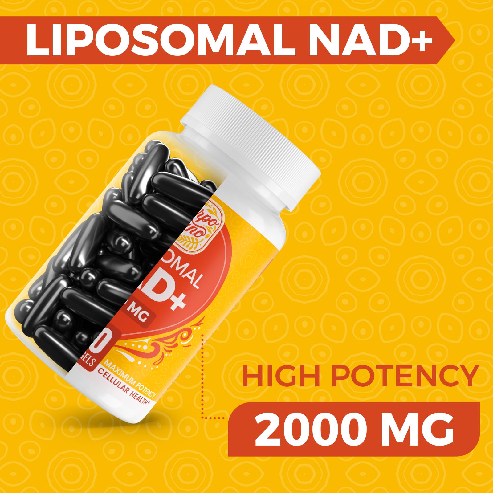 Cuerpo Sano liposomal delivery technology closeup emphasizing bioavailability.