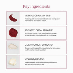 CYMBIOTIKA daily serving portion shown for consistent energy support.