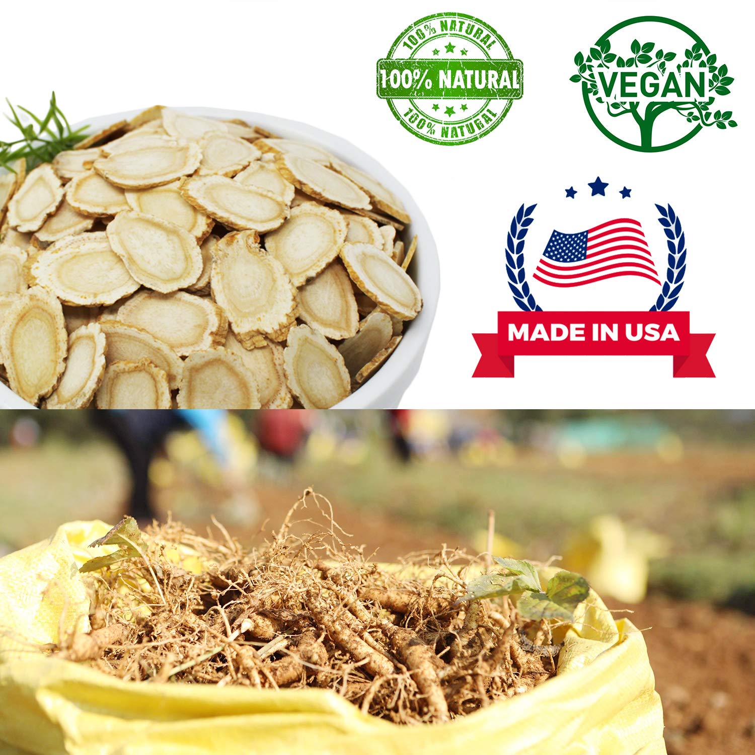 DABC OAK LAND 4 oz box of American ginseng slices, premium quality.
