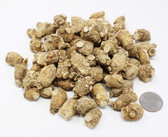 DABC OAK LAND hand-selected American ginseng slices from Wisconsin