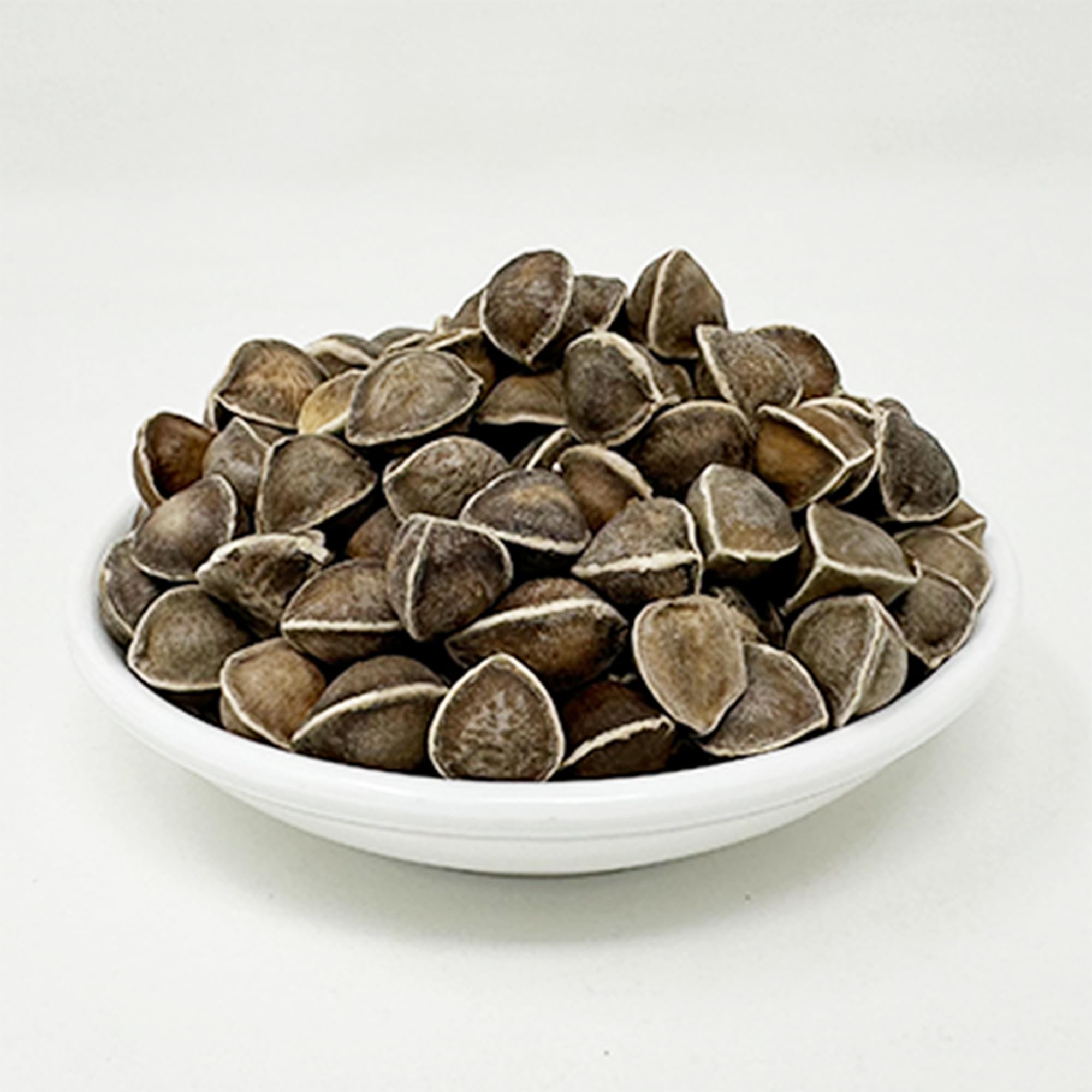 DABC OAK LAND moringa seed bowl setup for cooking or sprouting