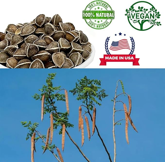 DABC OAK LAND moringa seed packaging label highlighting natural origin
