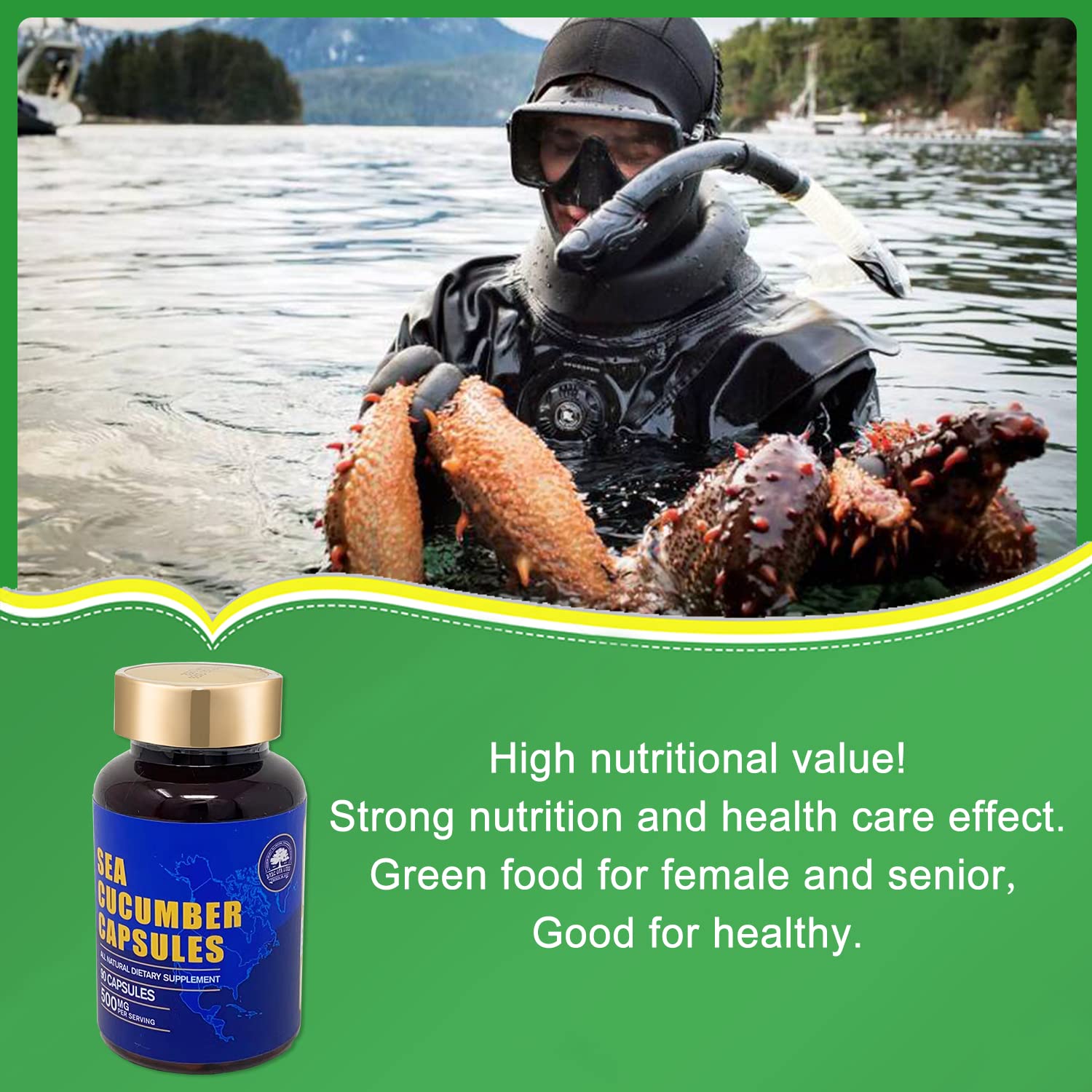 DABC OAK LAND sea cucumber capsules in hand suggesting easy daily use for joint support