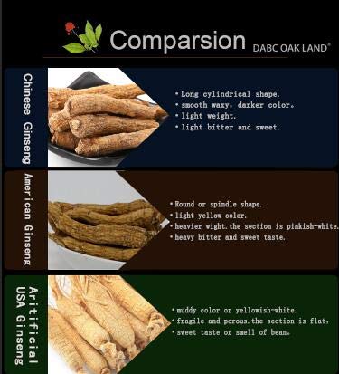 DABC OAK LAND steaming ginseng tea in ceramic cup