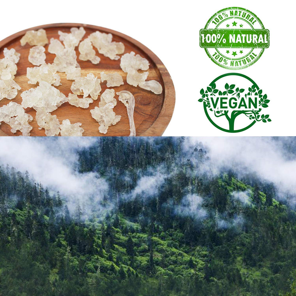 DABC OAK LAND Traditional Three Treasures Soup, pairs with peach gum and snow lotus