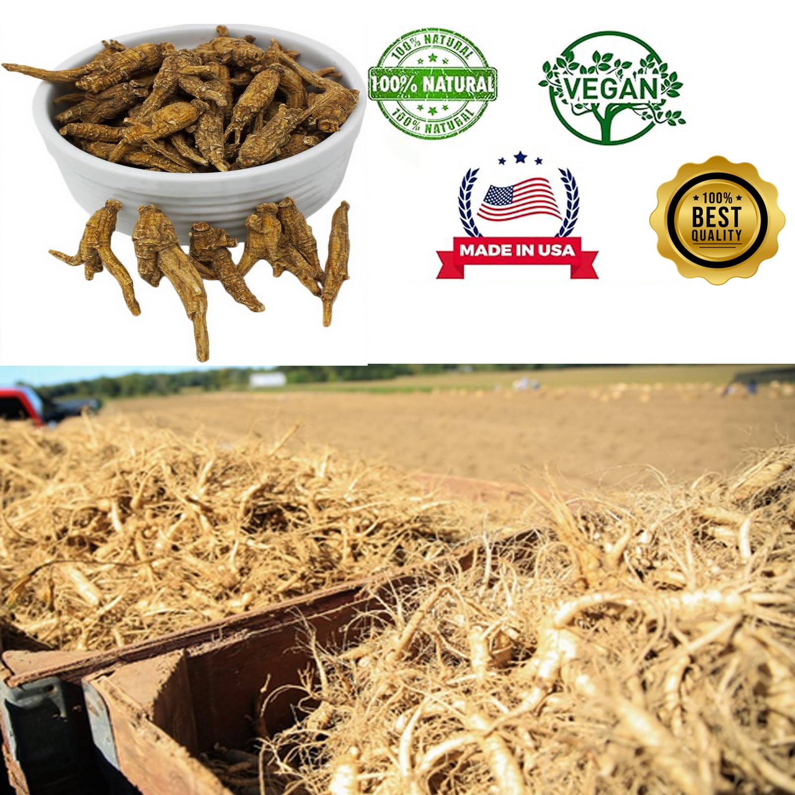 DABC OAK LAND American ginseng bottle shows convenient packaging for daily use.