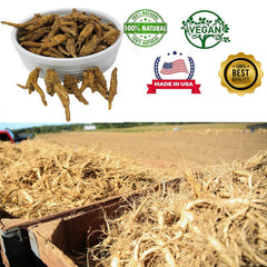 DABC OAK LAND American ginseng bottle shows convenient packaging for daily use.