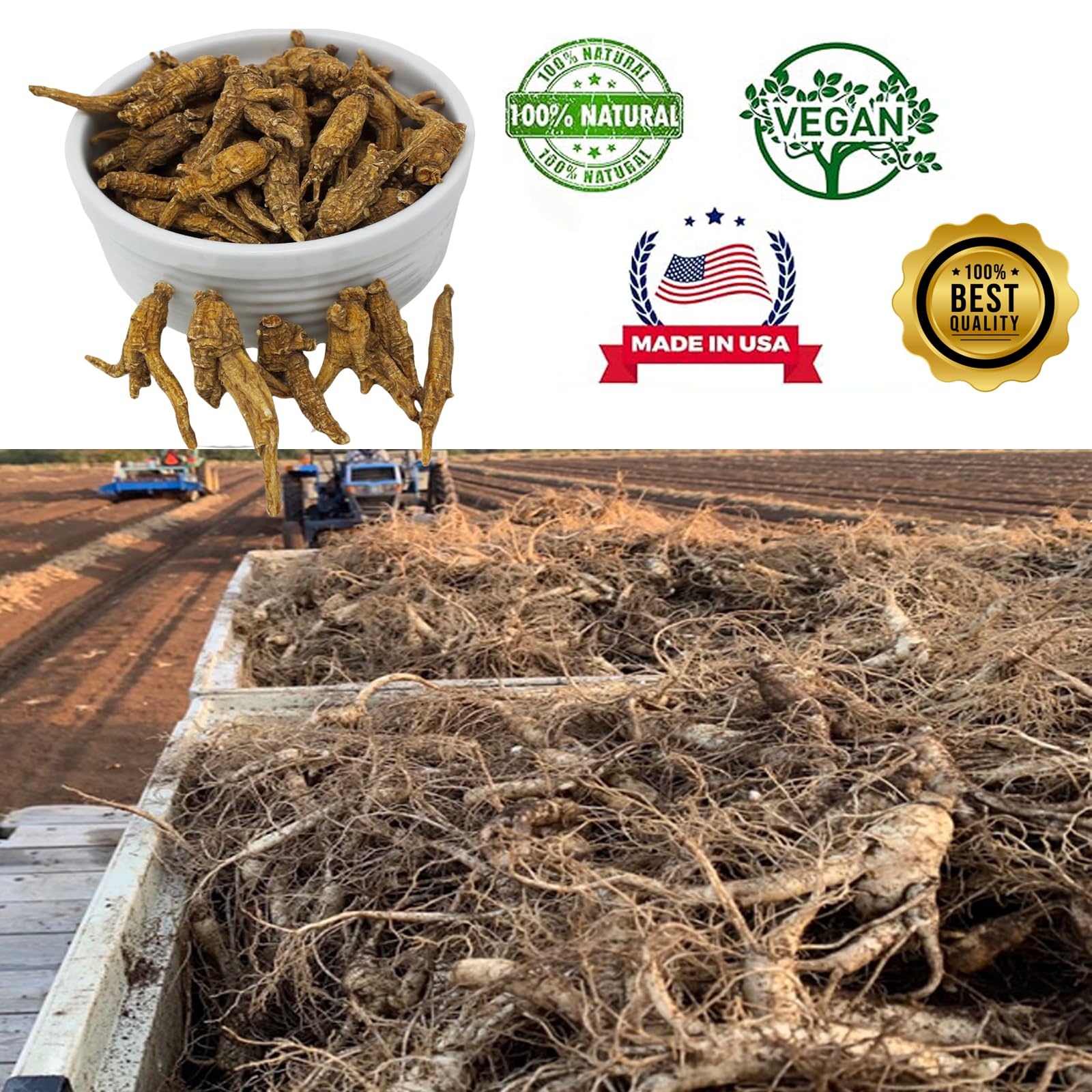 DABC OAK LAND packaging highlights non-GMO and caffeine-free attributes